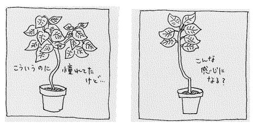 20180914155945056_0001